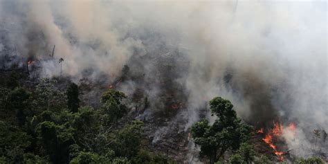 Pourquoi la forêt amazonienne brûle-t-elle