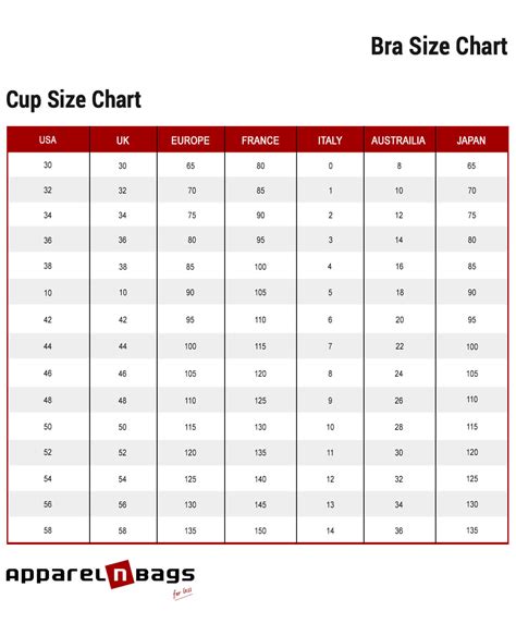 Accurate Bra Size Chart & Measurements Guide – ApparelnBags