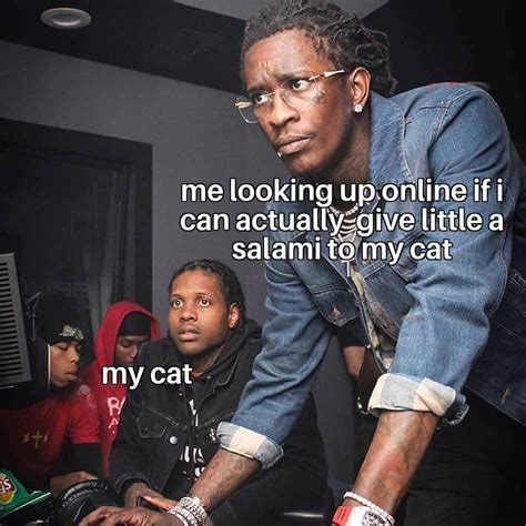 Yes Indeed, Cats Can Have A Little Salami (27 Memes)