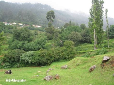 Heritage Train (Coonoor) - 2018 What to Know Before You Go (with Photos) - TripAdvisor