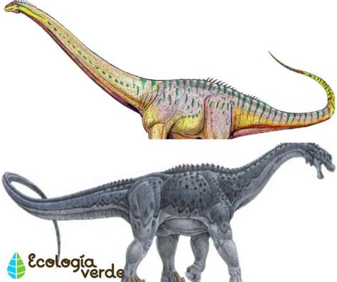 DINOSAURIOS HERBÍVOROS: Nombres, Tipos, Características e Imágenes