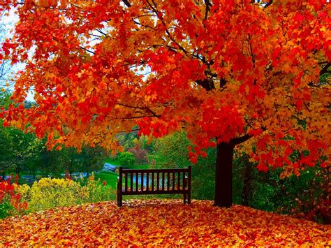 🔥 [47+] Screensavers and Wallpapers Autumn Scene | WallpaperSafari