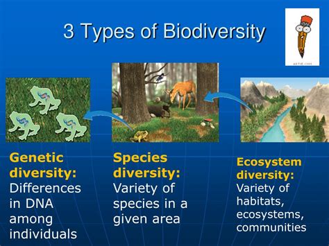 PPT - Chapter 7: Biodiversity and Conservation PowerPoint Presentation - ID:6384994