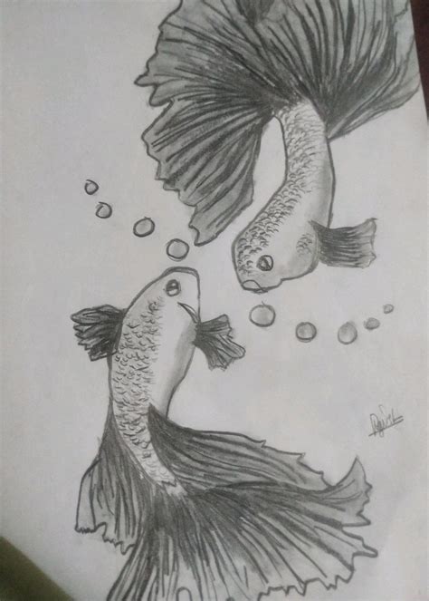 Tropical Fish Drawing In Pencil