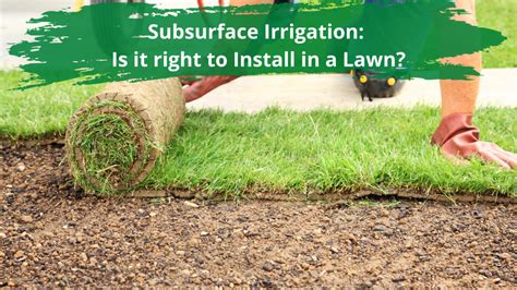 Subsurface Irrigation: Is it right to Install in a Lawn? - Southland ...