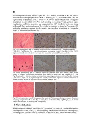 Shoulder Tendinopathy.31.12.09