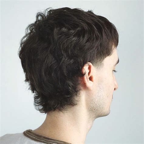 Best Shag Haircuts For Men In - academialetrasgus