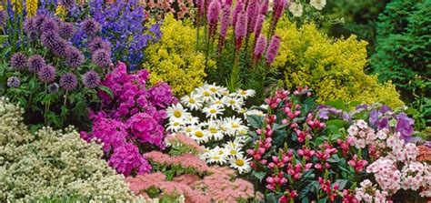 Why Now is the Perfect Time to Plant Herbaceous Perennials