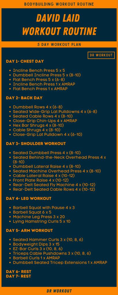 David Laid's Workout Routine | Dr Workout