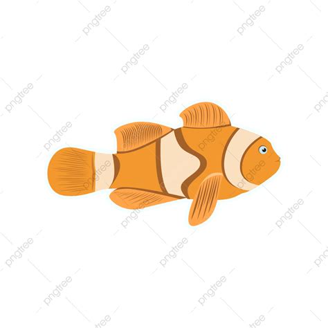 Nemo Fish Vector PNG Images, Nemo Fish Cartoon Vector, Nemo Fish, Fish Png, Fish Vector Png PNG ...