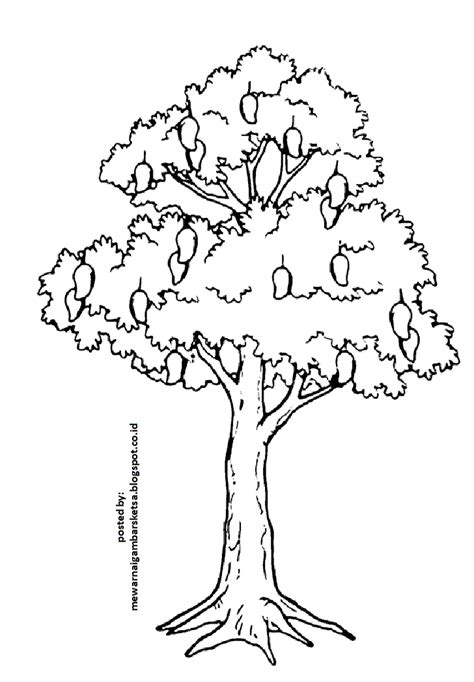 Mewarnai Gambar Pohon Mangga | Ruang Ilmu