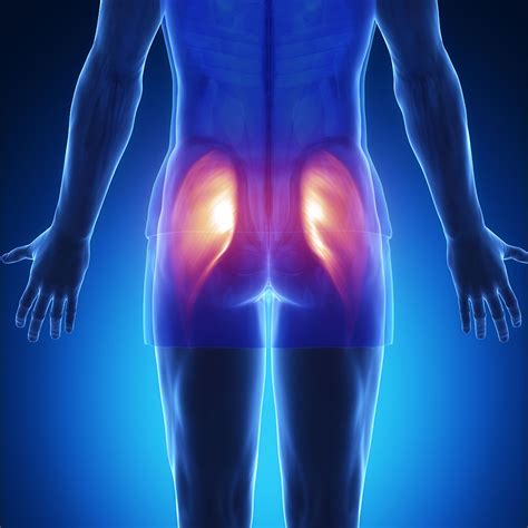 Hip muscle strain: Hip muscle injury & Pain - Physiotherapist Pretoria