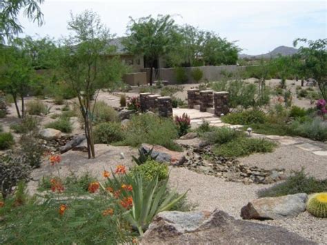 Desert Landscaping Ideas