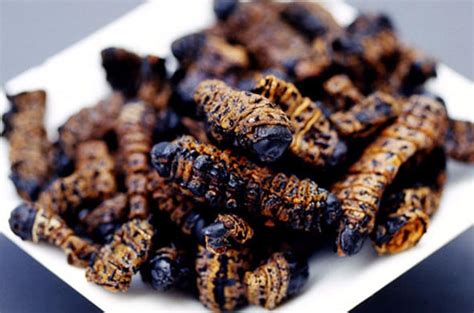 Mopane Worms - Pan African Cuisine - Eating Mopane Worms