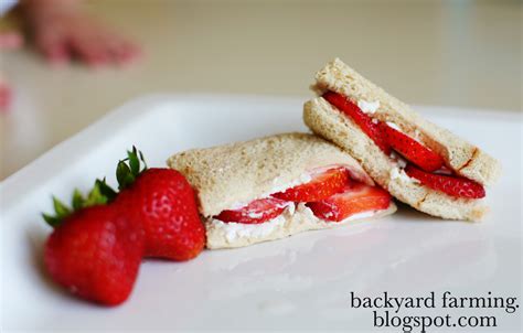 Backyard Farming: Strawberry Sandwiches