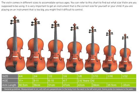 Opal V50 Student Violin • Prince Music Company