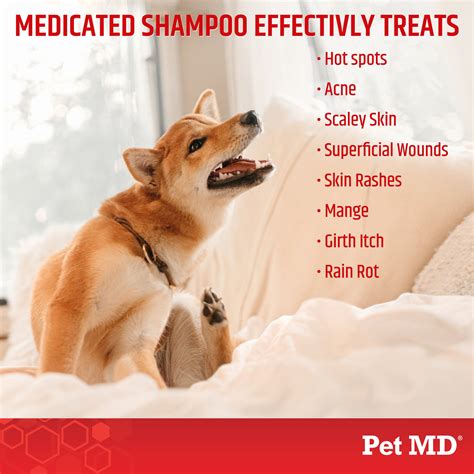 Antiseptic & Antifungal Medicated Shampoo for Dogs, Cats, & Horses - 8 – Pet MD Store