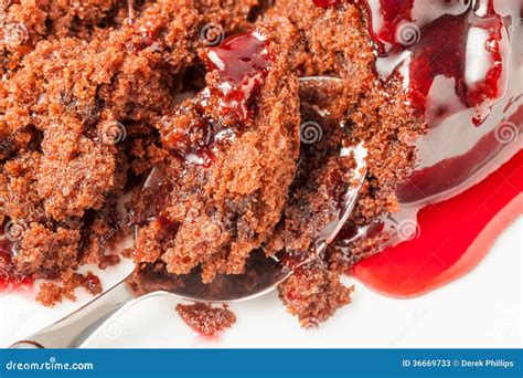 Black Forest Sponge stock image. Image of cherry, food - 36669733