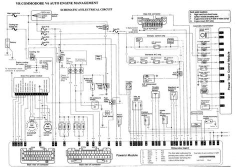 Vs Commodore Bcm Wiring Diagram - Wiring Diagram