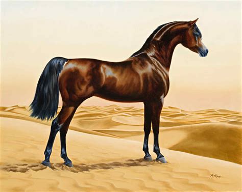 File:Arab horse painting animals arabian ainting by William Barraud, 1844.jpg - Wikimedia Commons