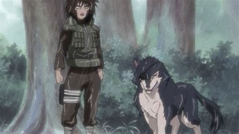 The Complete List of 14 Ninken of Konoha, The Loyal Ninja Dogs | Dunia ...