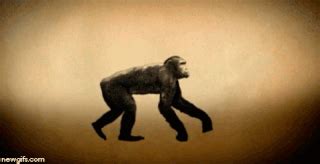 Blog 5: Charles Darwin's Theory of Evolution | Science Amino