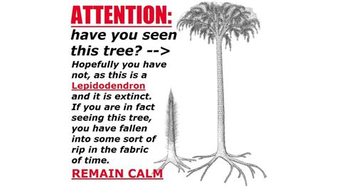 Lepidodendron Tree / Attention: Have You Seen This Tree?: Video Gallery | Know Your Meme