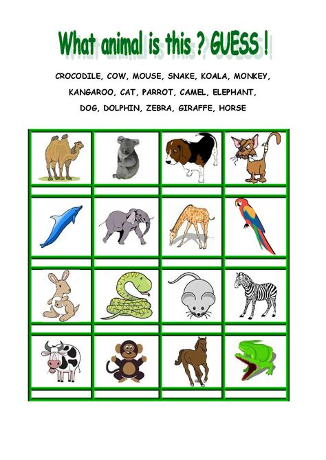 Animals guess.pdf | PDF Host