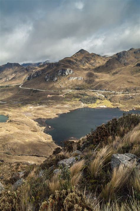 National Park Cajas stock image. Image of foggy, altitude - 131712975