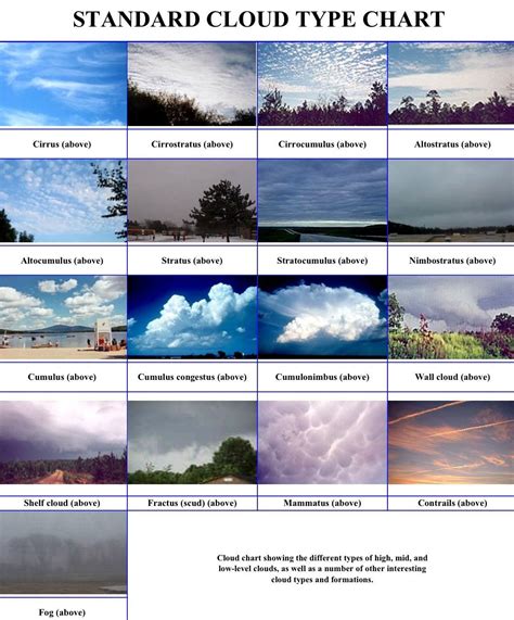 types of clouds | Weather science, Weather and climate, Cloud type