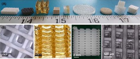 (A) Examples of 3D printed bone scaffolds made of compositions of... | Download Scientific Diagram