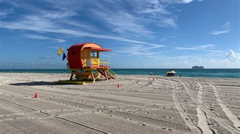 The Hottest Tourist Attractions In Miami To Add To Your Trip, According ...