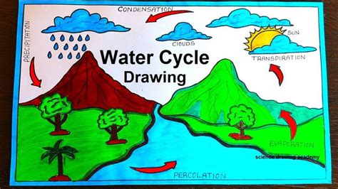 the water cycle drawing is displayed on a table