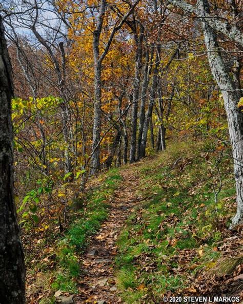 Blue Ridge Parkway | SMART VIEW LOOP TRAIL (MP 154.5) | Bringing you America, one park at a time