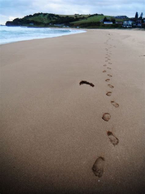 Footprints in the sand | Healing waters, Beach, Sand