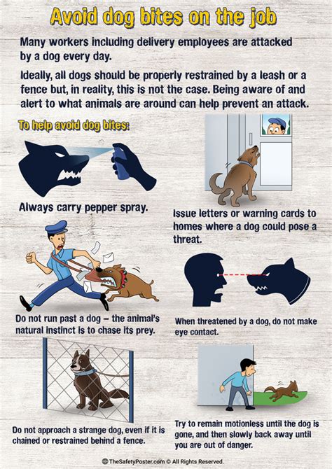 Avoid dog bites on the job | Dog bites | Preventing dog bites at work | Dog safety | HSCT LLC