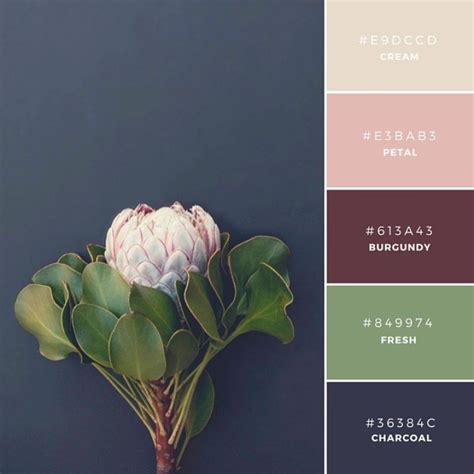 Vibrant Color Palette Combos Take Colors From the World to Inspire Creativity