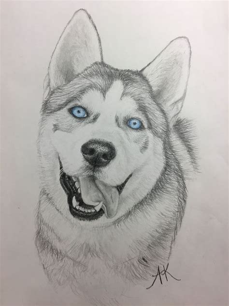 Siberian husky drawing, King with blue eyes | Tiere malen, Hund ...