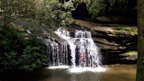 THE 15 BEST Things to Do in Pickens - 2022 (with Photos) - Tripadvisor