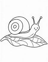 Snail coloring easy Page sketch template