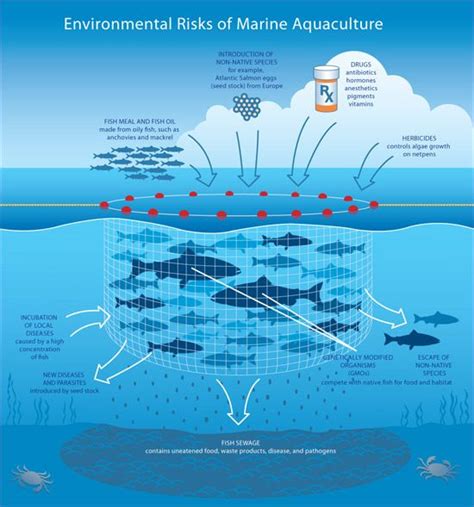 Is Aquaculture Good or Bad? A lot of people ask us when buying seafood, is aquac… | Piscicultura ...