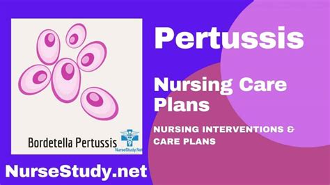 Pertussis Nursing Diagnosis & Care Plan - NurseStudy.Net