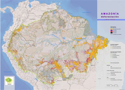 Amazon Rainforest Deforestation Map