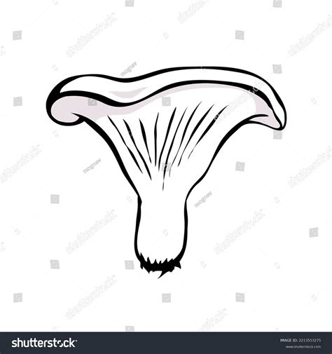 Lactarius Deliciosus: Over 462 Royalty-Free Licensable Stock Vectors & Vector Art | Shutterstock