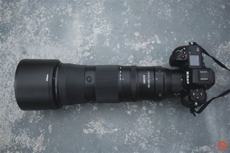 Nikon 180-600mm f5-6.3 VC First Impressions: The Best We’ve Seen ...