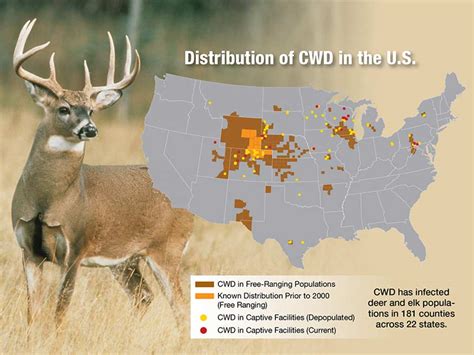 Chronic Wasting Disease Concerns | AgWeb