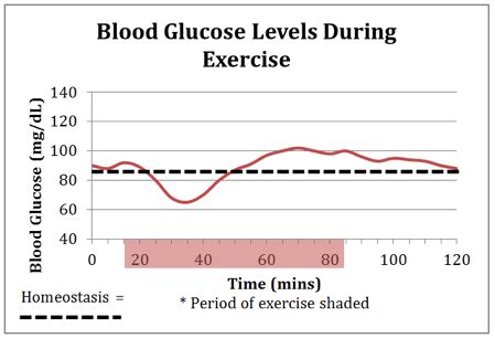 Can Exercise Affect Blood Sugar Levels - Exercise Poster