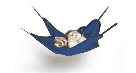 Ferret Hanging Hammock | HorseLoverZ