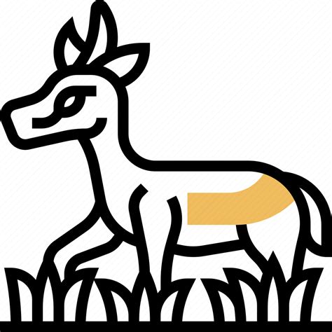 Springbok, antelope, wildlife, animal, safari icon - Download on Iconfinder