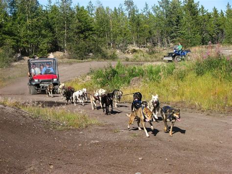 Yellowknife Dog Mushing Experience On Wheels